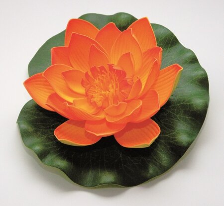 Lotus foam oranje 17cm