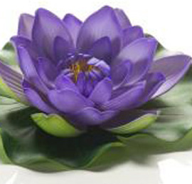 Lotus foam paars 10cm