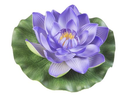Lotus foam paars 17cm - afbeelding 1