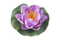Lotus foam roze 10cm