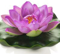 Lotus foam roze 17cm - afbeelding 2