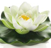 Lotus foam white 10cm - afbeelding 2
