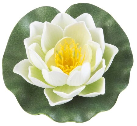 Lotus foam white 10cm - afbeelding 1