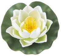 Lotus foam white 10cm