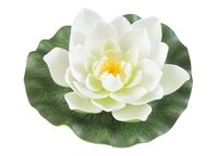 Lotus foam white 17cm - afbeelding 1
