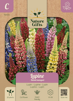 Lupine russell mengsel 20st