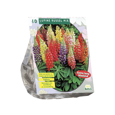 Lupinus russel mix 10st - afbeelding 1