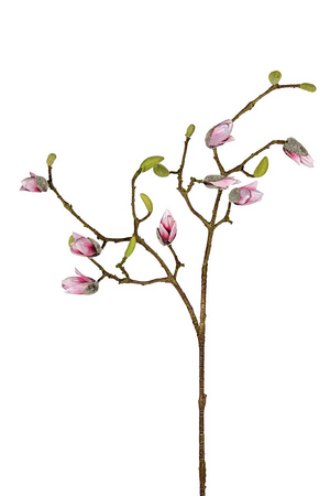 Magnolia knoppen l90cm roze