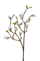 Magnolia knoppen l90cm wit