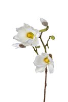 Magnolia l73cm wit