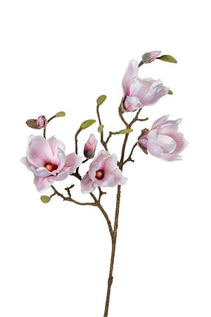 Magnolia l95cm roze