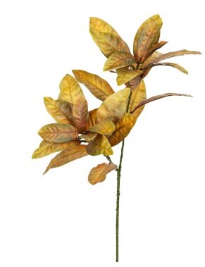 Magnoliabladtak l70cm geel