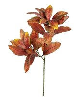 Magnoliabladtak l70cm oranje