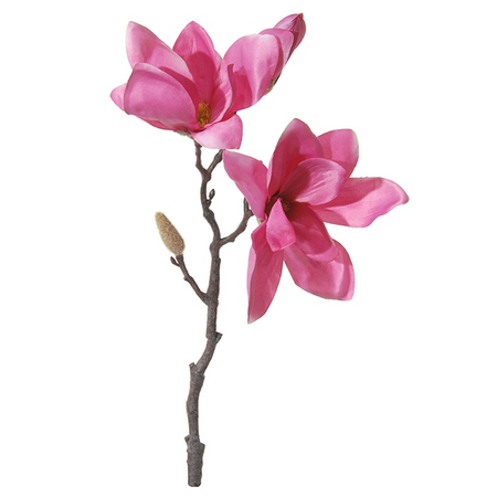 Magnoliasteel beauty l38cm (Zijde-bloem)