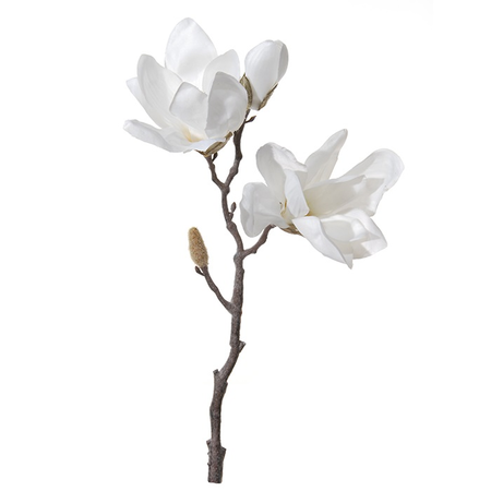 Magnoliasteel creme l38cm (Zijde-bloem)