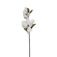 Magnoliasteel l68cm wit  (Zijde-bloem)