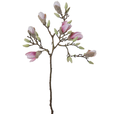 Magnoliasteel l70cm cerise (Zijde-bloem)