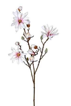 Magnoliasteel l90cm creme/roze