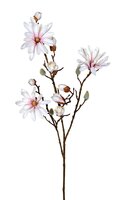 Magnoliasteel l90cm creme/roze