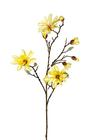 Magnoliasteel l90cm lt geel