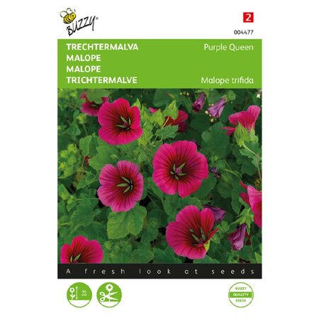 Malope trifida purple queen 1.5g - afbeelding 1