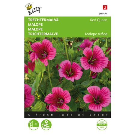 Malope trifida red queen 1.5g - afbeelding 1