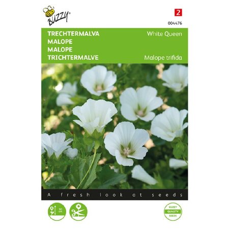 Malope trifida white queen 1.5g - afbeelding 1
