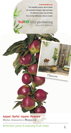Malus d. 'Maypole' - afbeelding 1