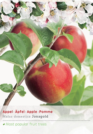 Malus d. 'Rode Jonagold'