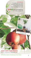 Malus d. 'Summerred'