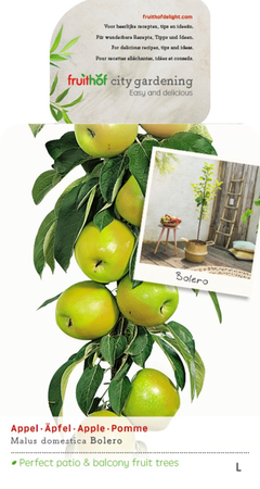 Malus dom. Bolero zuilvorm vp5 - afbeelding 1