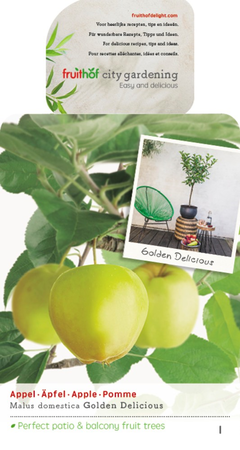 Malus dom. Golden Del. Patio vp5 - afbeelding 1