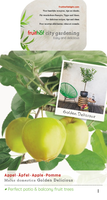 Malus dom. Golden Del. Patio vp5