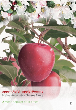 Malus dom. Sweet Love laagstam