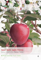 Malus dom. Sweet Love laagstam