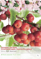 Malus Red Sentinel p24