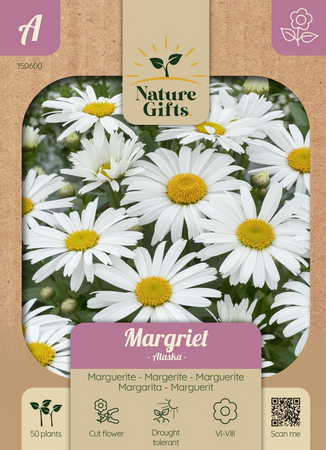 Margriet alaska 50st