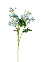 Margrietjesteel l60cm blauw