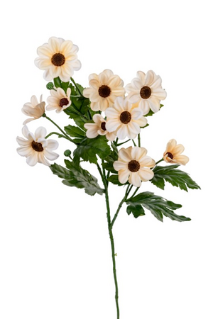 Margrietjesteel l75cm creme