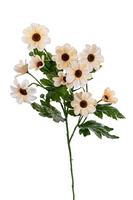 Margrietjesteel l75cm creme