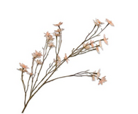 Margriettak l79cm perzik/creme