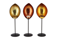 MARRAKECH BLACK EYE ASS 30CM