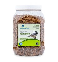 Meelwormen pot 1800ml