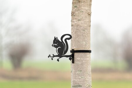 Metalen vogel eekhoorn l28.5b27.5d3