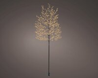 Microled boom d40h180cm zwrt/kwrm