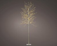 Microled boom d70h180c gd/wwt/k.wrm