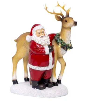 Microled kerstmn l12b19h26c-10l wwt