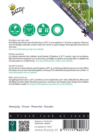 Mimosa pudica kruidje roer me niet