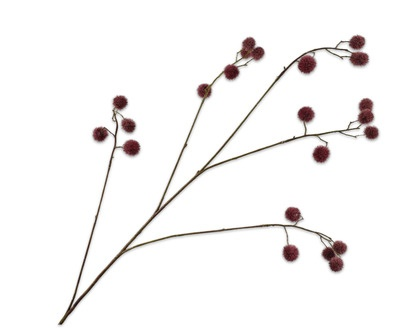 Mimosatak l101cm bordeaux