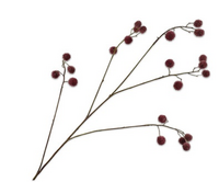 Mimosatak l101cm bordeaux